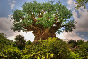 disney-animal-kingdom-tree