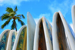 Hawaiian surf boards standing