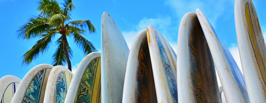 Hawaiian surf boards standing