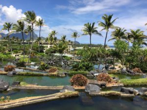 Pool pond and spa kauai