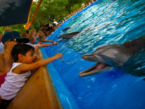 San Antonio Seaworld