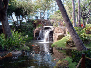 Maui Westin pool