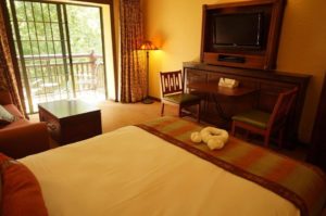 DVC Animal kingdom room