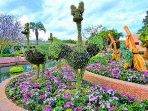 epcot flowers