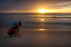 shell beach