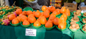 Florida oranges for sale
