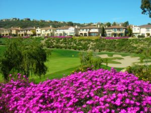 Four Seasons Aviara villas