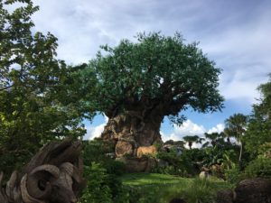 Disney's Tree of Life