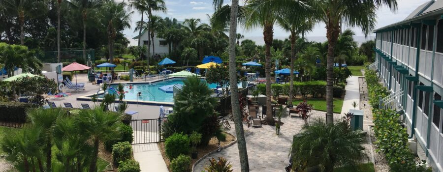 surfrider beach club pool area