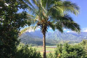 Mountain range in Hawaii