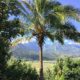 Marriott’s Waiohai Beach Club, Koloa, Hawaii