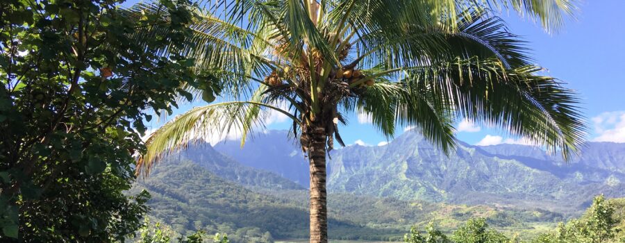 Mountain range in Hawaii