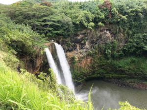 Waterfall from up top hawaii