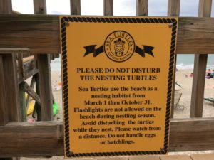 Vero Beach sea turtle sign