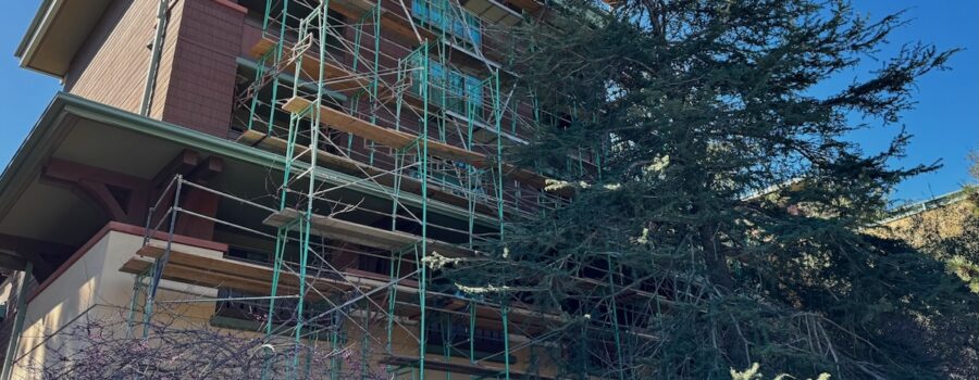 A Look Inside the Renovations at Disney’s Grand Californian