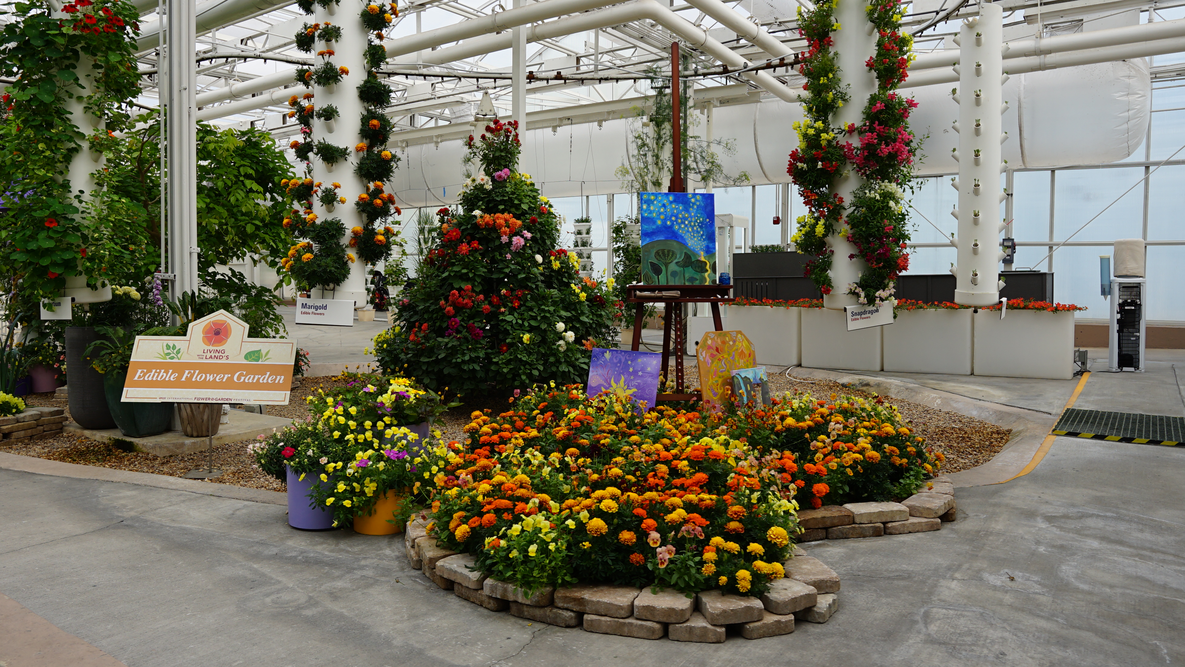 angled Display - 2025 EPCOT Flower and Garden Festival