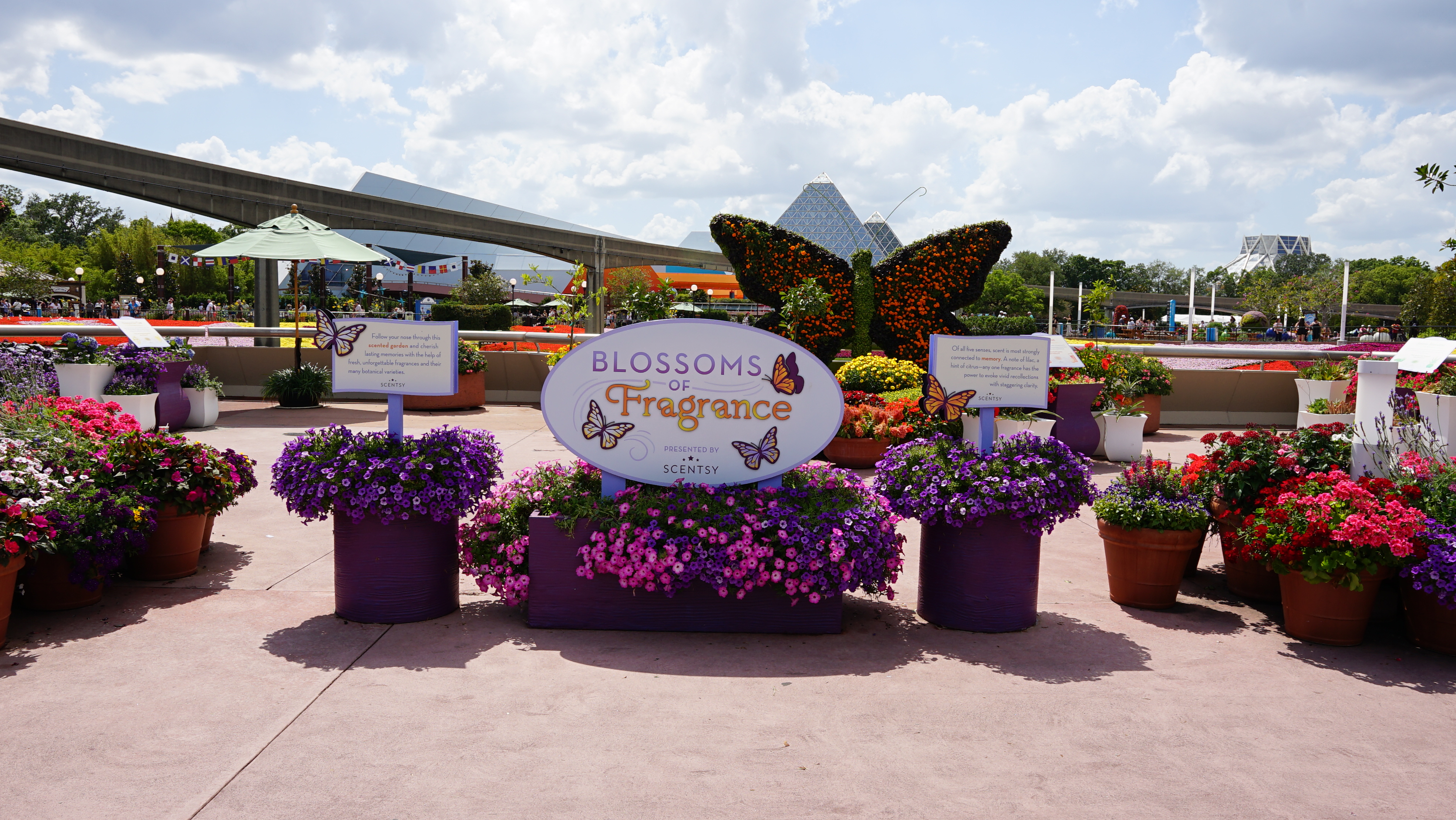 Blossoms of Fragrance - 2025 EPCOT Flower and Garden Festival
