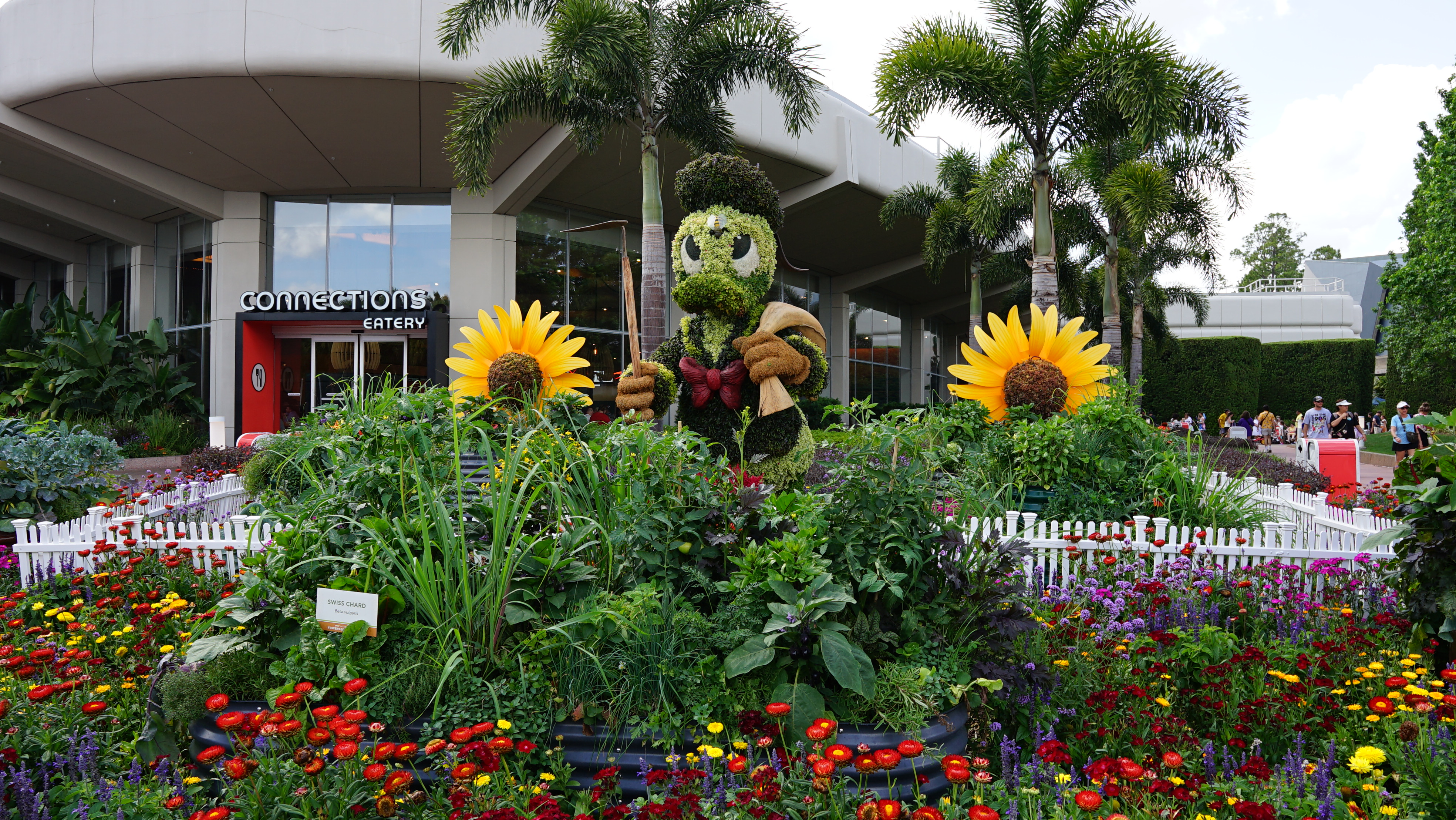 Donald's Community Garden - 2025 EPCOT Flower and Garden Festival