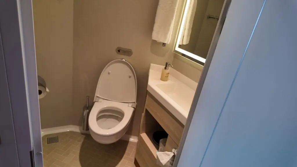 Disney-Treasure-Verandah-Stateroom-Toilet-Bathroom